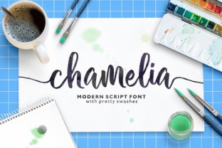 Chamelia: A Handwritten Font Review for Boutique Branding