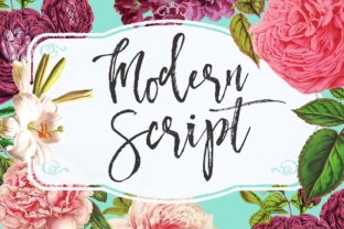 Modern Script Typeface for Elegant Brand Identity Projects