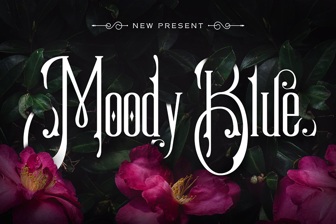 Moody Blue Typeface: A Designer’s Review for Campaign Visuals