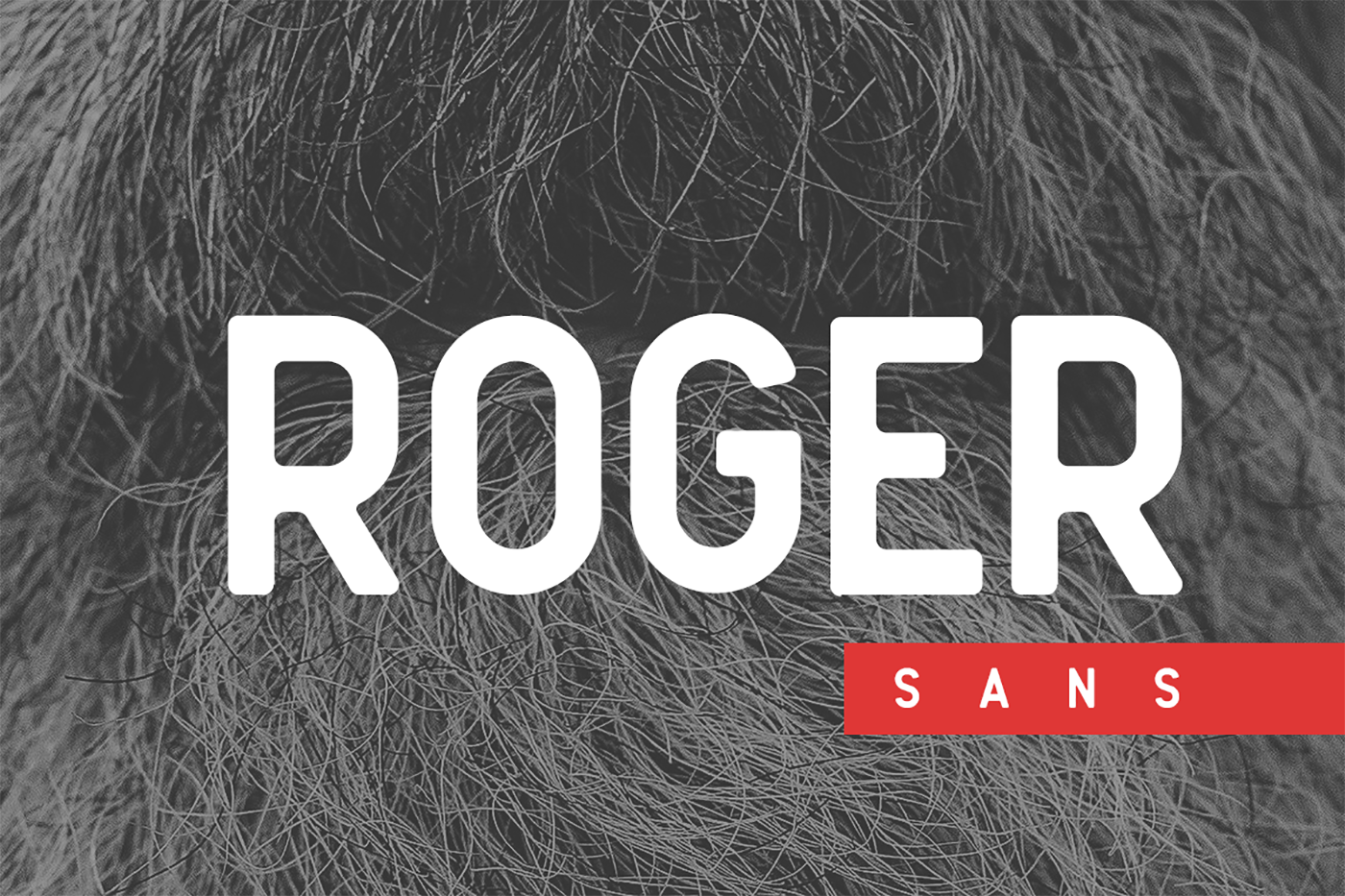 Roger Sans: A Bold Vintage Sans Serif Font for Crafters and Sellers