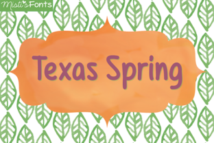 Texas Spring Typeface: A Maker’s Review for Handmade Branding